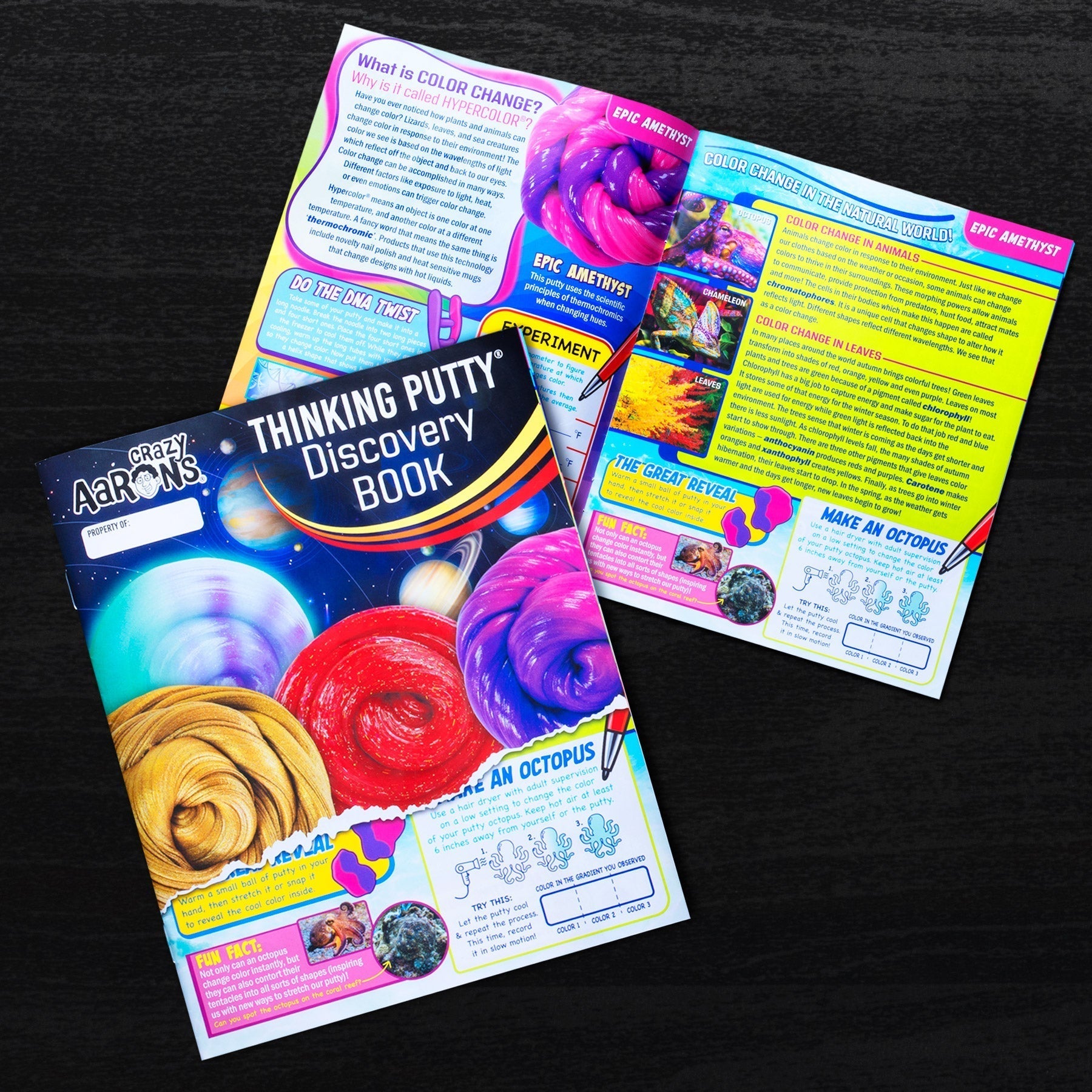 Putty Discovery Kit TM